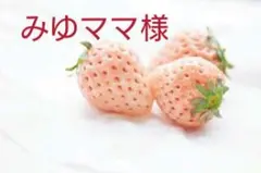 ６枚。みゆママ様専用❤セミオーダーページ❤ブランケット。ガーゼケット。タオル。