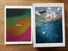 iPad Pro 第２世代　12.9インチ　256GB