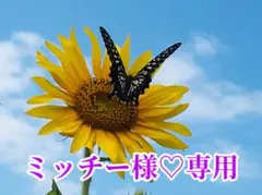 ミッチー様❤️おまとめ専用ページです。4/8まで♡