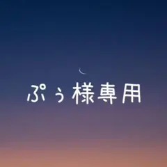 ぷう様 リクエスト 2点 まとめ商品