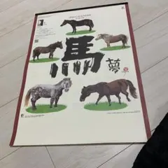 馬　カレンダー2026