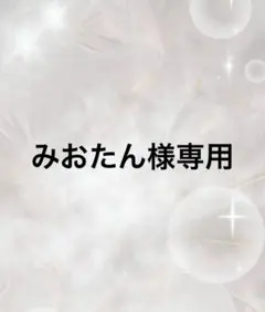 みおたん様専用ページ