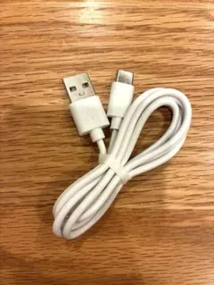 USB-C to USBケーブル ホワイト