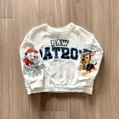 ZARA パウパトトレーナー