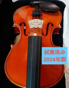2026年最新】EASTMAN vl80 4/4の人気アイテム - メルカリ