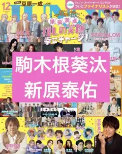 駒木根葵汰　新原泰佑　JUNON　12月号　切り抜き