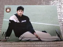 大谷翔平 2014 ハイライトフォト No.255 日本ハム 球団公式写真