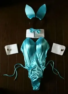 ね*じ様 アトリエダーム バニーガール衣装 - メルカリ