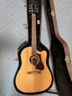 Takamine DSP200 CT アコースティックギター ハードケース付 - メルカリ