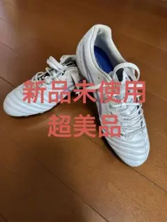 【美品・限定】DS LIGHT X-FLY PRO 2 25.5