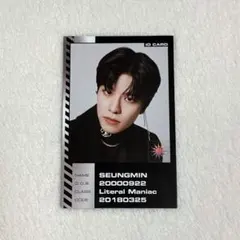 StrayKids スンミン ODDINARY IDカード トレカ
