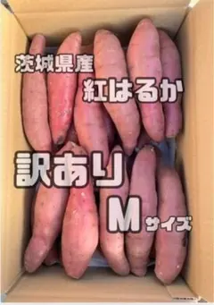 2026年最新】さつまいも 紅はるか 20kgの人気アイテム - メルカリ