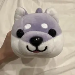 【新品】ハッピーまめしば 特賞 パグ ぬいぐるみ 大きめ Amazon.co.jp ㈱CUTE ハッピーまめしば 豆柴 柴犬 ぬいぐるみ 2体