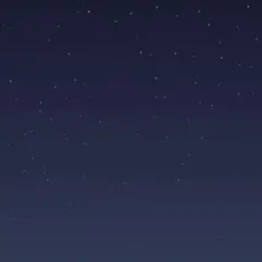 専用