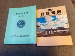 Item thumbnail for item a947ef2f-0a76-4d4e-b66e-46ce0510a3b7