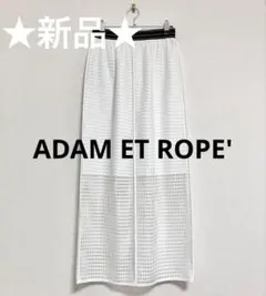 ADAM ET ROPE'　アダム エ ロペ　メッシュレーススカート（ホワイト）のサムネイル