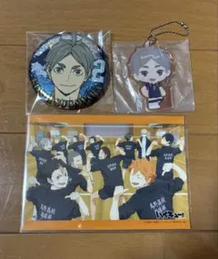 ハイキュー‼︎ 烏野　菅原さん