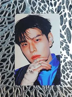 【スンミン】Stray Kids スキズ skzoo ver. 封入トレカ