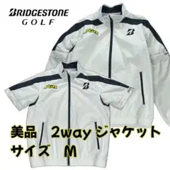 Item thumbnail for item 996023d6-51a8-4f22-bc3a-e3058122cb92