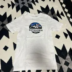 PATAGONIA オーガニックコットンスリムフィットTシャツ XS レディース