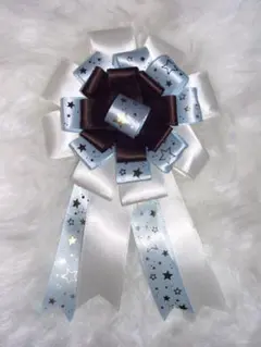 Item thumbnail for item b7378977-3497-4370-a936-fba3f322465a