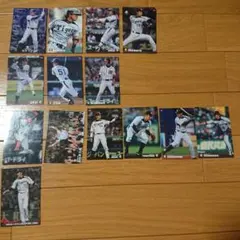 カルビー プロ野球チップスカード 2013 2014 2015 阪神タイガース