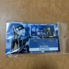 裕涼しか勝たん！アクリルスタンドキーホルダー