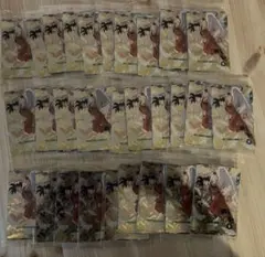 Item thumbnail for item 0457d164-0365-41d7-8c2d-b759423005cc