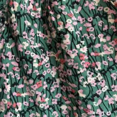 Item thumbnail for item b5555690-2ad8-468d-a21a-500754d03bc5