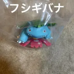 ポケットモンスター カントー いっぱい コレクション　フシギバナ