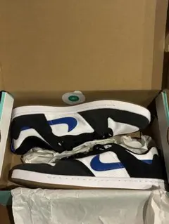 Nike SB Alleyoop アリウープ　新品未使用品