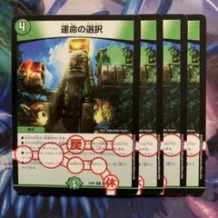 80811 運命の選択