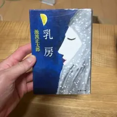 b まとめ買い180 乳房 池波正太郎 時代小説