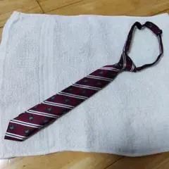 Item thumbnail for item edd4d2ae-83e4-43b5-a9da-caeca188a6f0