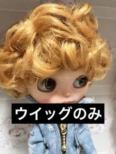 2025年最新】アイシードール 男の子の人気アイテム - メルカリ