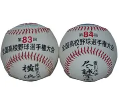 2026年最新】尽誠学園の人気アイテム - メルカリ