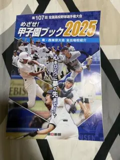 Item thumbnail for item d8870521-6f7b-4f2e-ad3c-579107806f01