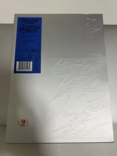 seventeen ジョンハン　ウォヌ　THIS MAN