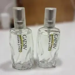 GATSBY SHOWER FRESH OCEAN CITRUS 2本セットのサムネイル
