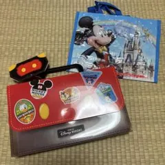 ディズニー バッグセット　ミッキーマウス ミニーマウス