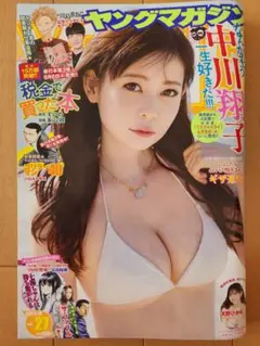 ヤングマガジン 2022年27号　中川翔子　天野ひかる