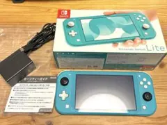 ニンテンドースイッチライト Nintendo Switch Lite ターコイズ