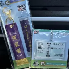 タイトーくじ E賞、F賞　ゴールドシップ