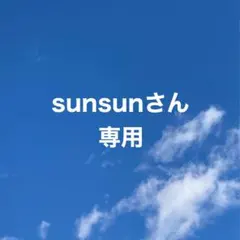 sunsunさん専用　サンふじりんご10kg