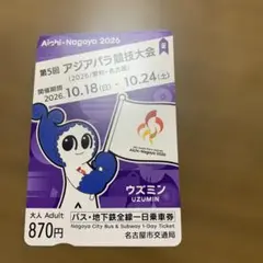 第5回 アジアパラ競技大会 ウズミン バス・地下鉄一日乗車券　使用済