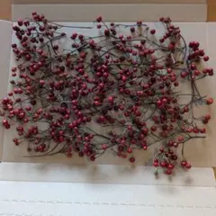 Item thumbnail for item cbfdac9a-aaf9-4fe6-89f7-1813c5b74ebc