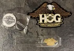 【非売品】ハーレー 120周年 HOG 4点セット ノベルティ 新品未使用のサムネイル