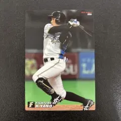 プロ野球チップス2017 第1弾　矢野謙次　レギュラーカード