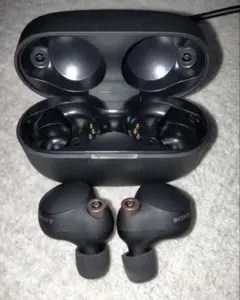 Item thumbnail for item c2c39738-8684-4018-90a6-3075ab8caaa3