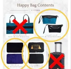 しまむら×ちはるコラボディズニーコレクション ハッピーバッグエルサ4